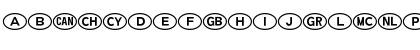 International Icons B Regular Font