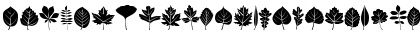 Leaves Medium Font