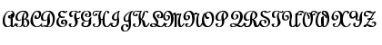 Linoscript Bold Bold Font