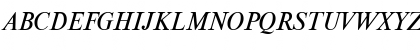 NewtonDOSCTT Italic Font