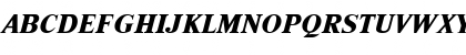 NimbusRomDExtBol Italic Font