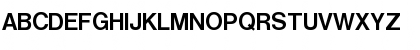 Nimbus Sans Becker P Bold Font