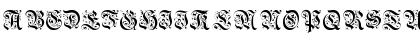 GriffDinShi Regular Font