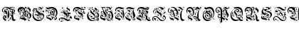 Griffin Regular Font