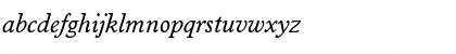 Worcester Italic Font