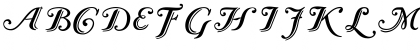 Caslon Calligraphic Initials Regular Font