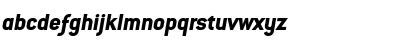 ConduitITCStd ExtraBoldItalic Font