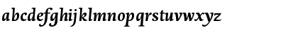 DTLDorianST BoldItalic Font