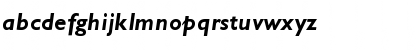Gill Sans MT Pro Bold Italic Font