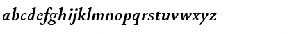 Kingfisher Bold Italic Font