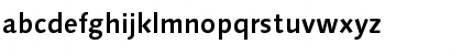 LinotypeSyntax Bold Font