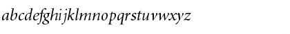 Minion Italic Display Font