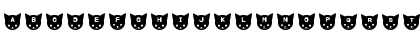 cat-chy Regular Font