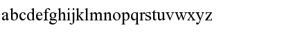 Times New Roman Georgian Regular Font