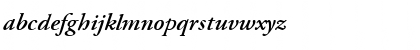 Algonquin Italic Italic Font