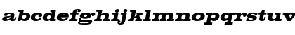 Chestnut Oblique Font