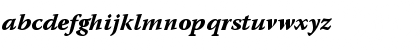 Warnock Pro Bold Italic Caption Font