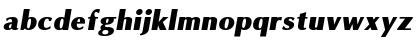 Omni Italic Font
