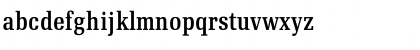 RePublic Text Regular Cond Font