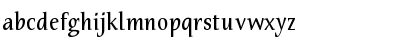 TarquiniusPlus Book Font