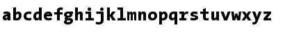 TheSansMono ExtraBold Font