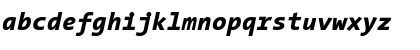 TheSansMono ExtraBold Italic Font