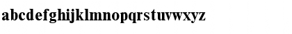 CyrillicEnglishTimesSSK Bold Font