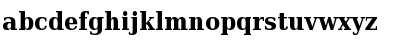 DejaVu Serif Condensed Bold Font