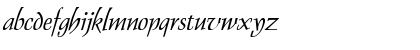 Dolphin Italic Font