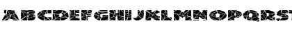 FZ JAZZY 24 CRACKED EX Normal Font