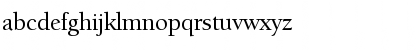 ITCBerkeleyOldstyle-Medium Medium Font