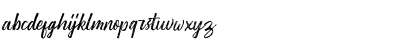 Washington ~ Rough Script DEMO Regular Font