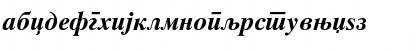 Macedonian Tms Bold Italic Font