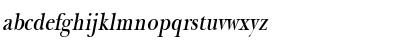 NewBaskerThin Oblique Font