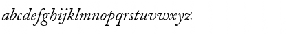 AdobeCaslon RomanItalic Font