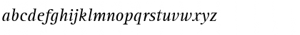 AgfaRotisSerif Italic Font