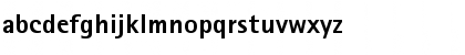 Agfa Rotis Sans Serif ExBd Regular Font
