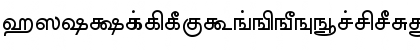 AkrutiTmlBarathi Bold Font
