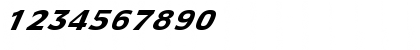 FZ BASIC 55 ITALIC Normal Font