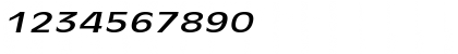 Antiqua101Extended Italic Font