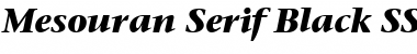 Mesouran Serif Black SSi Bold Italic