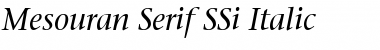 Mesouran Serif SSi Italic Font