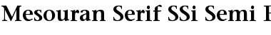 Mesouran Serif SSi Font