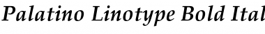 Download Palatino Linotype Font