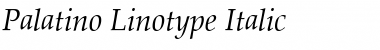 Palatino Linotype Italic