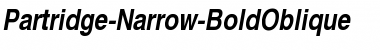 Partridge-Narrow-BoldOblique Font