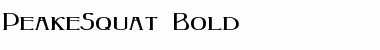 PeakeSquat Bold Font