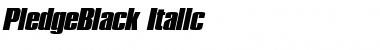 PledgeBlack Italic
