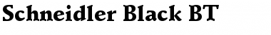 Schneidler Blk BT Black Font