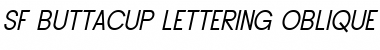 SF Buttacup Lettering Oblique
